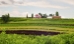 Star Valley Flowers Inc. - 